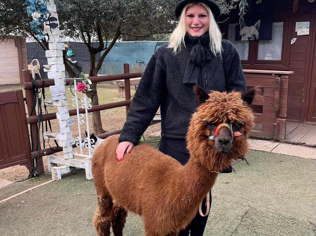 Alpacamp Il Campo Degli Angeli景点图片