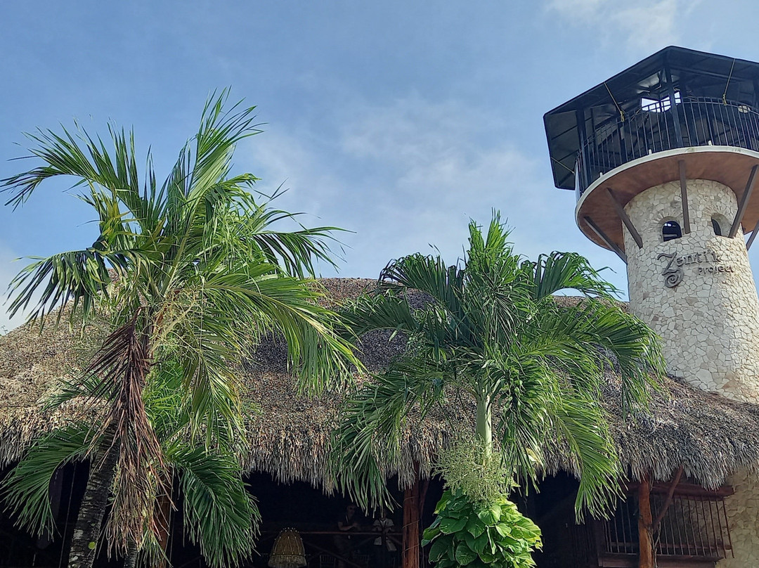 Zenti'k Project主图