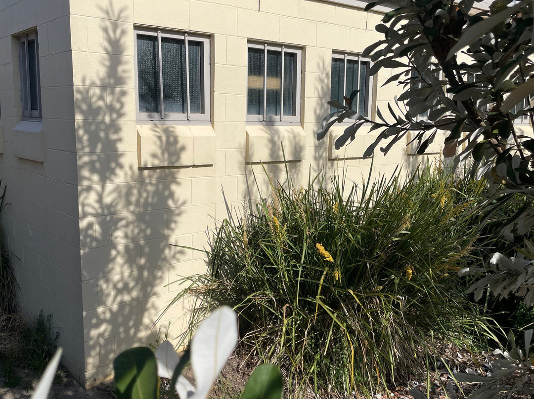 Morrison Reserve-Mount Evelyn必去景点