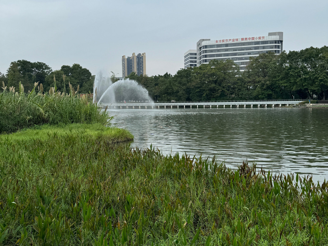 岐江公园景点图片