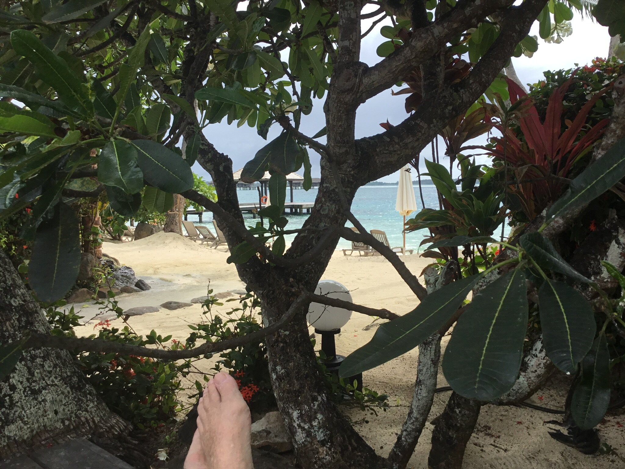 Hotel Royal Bora Bora-泳池
