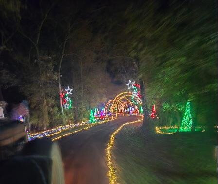 The White House On Freedom Way主图