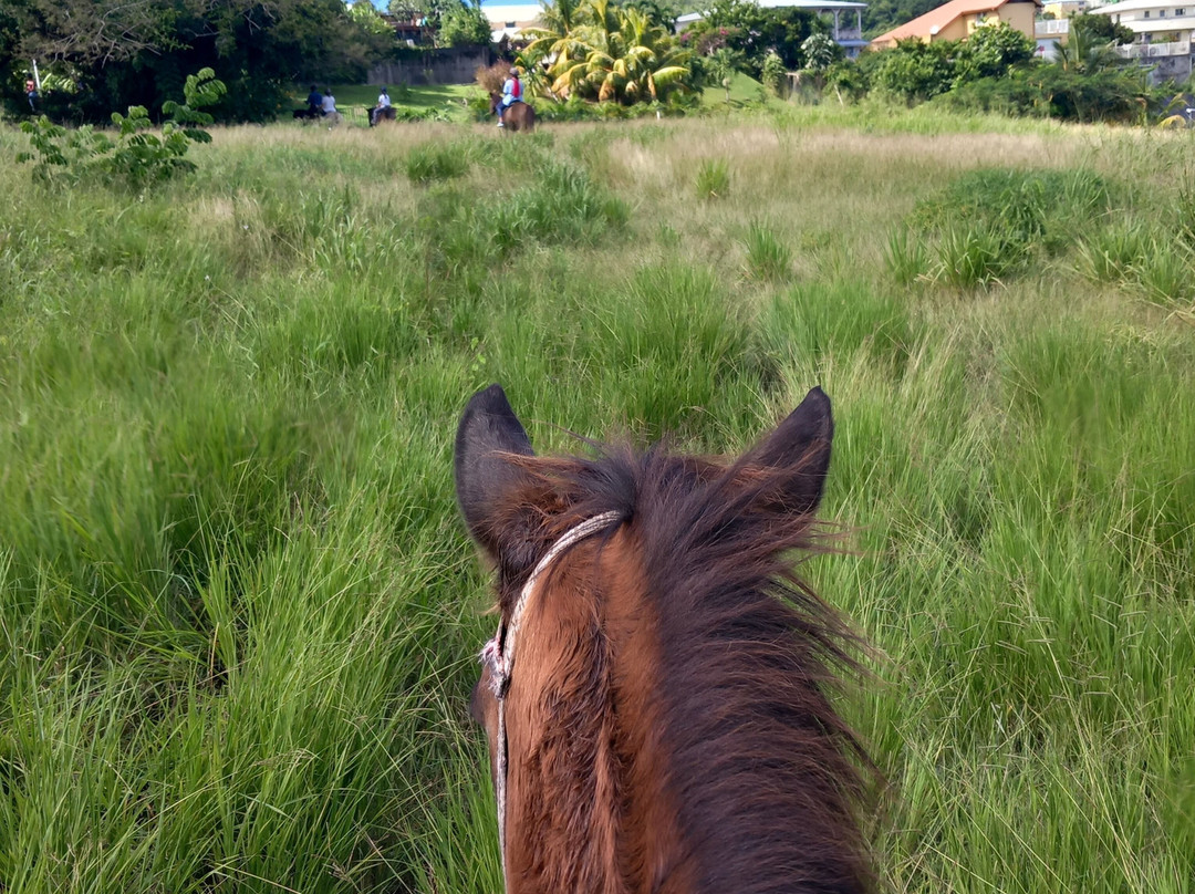Ranch Jack-Trois-Ilets必去景点