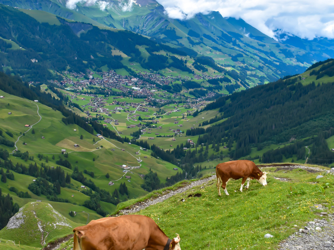 Adelboden Ski Resort-阿德尔博登必去景点