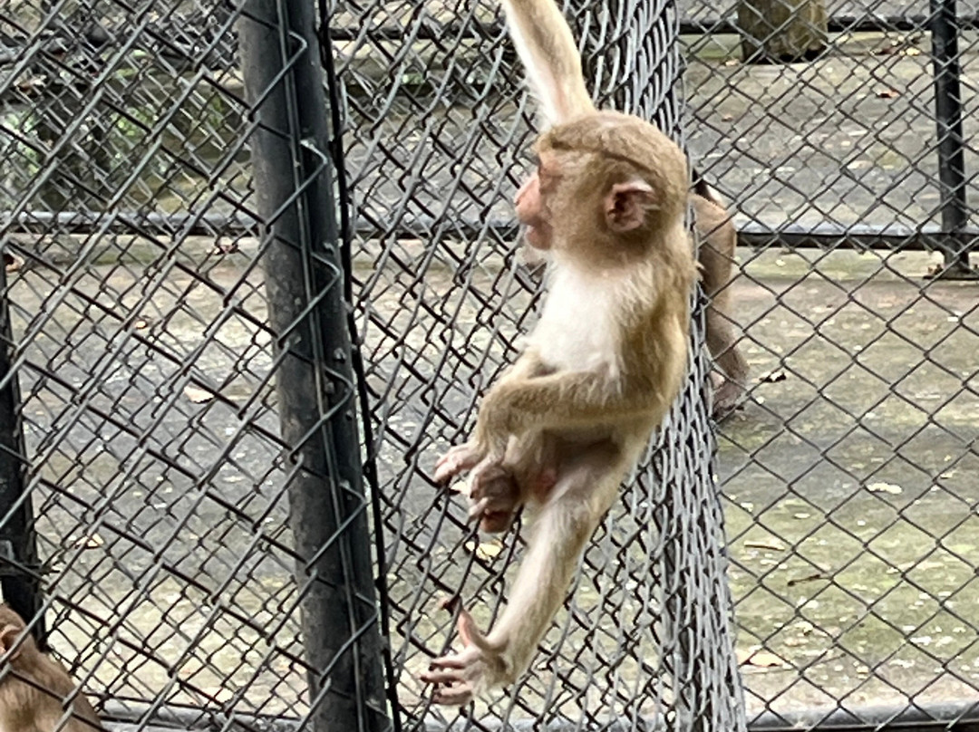 Huai Sai Wildlife Breeding Center景点图片