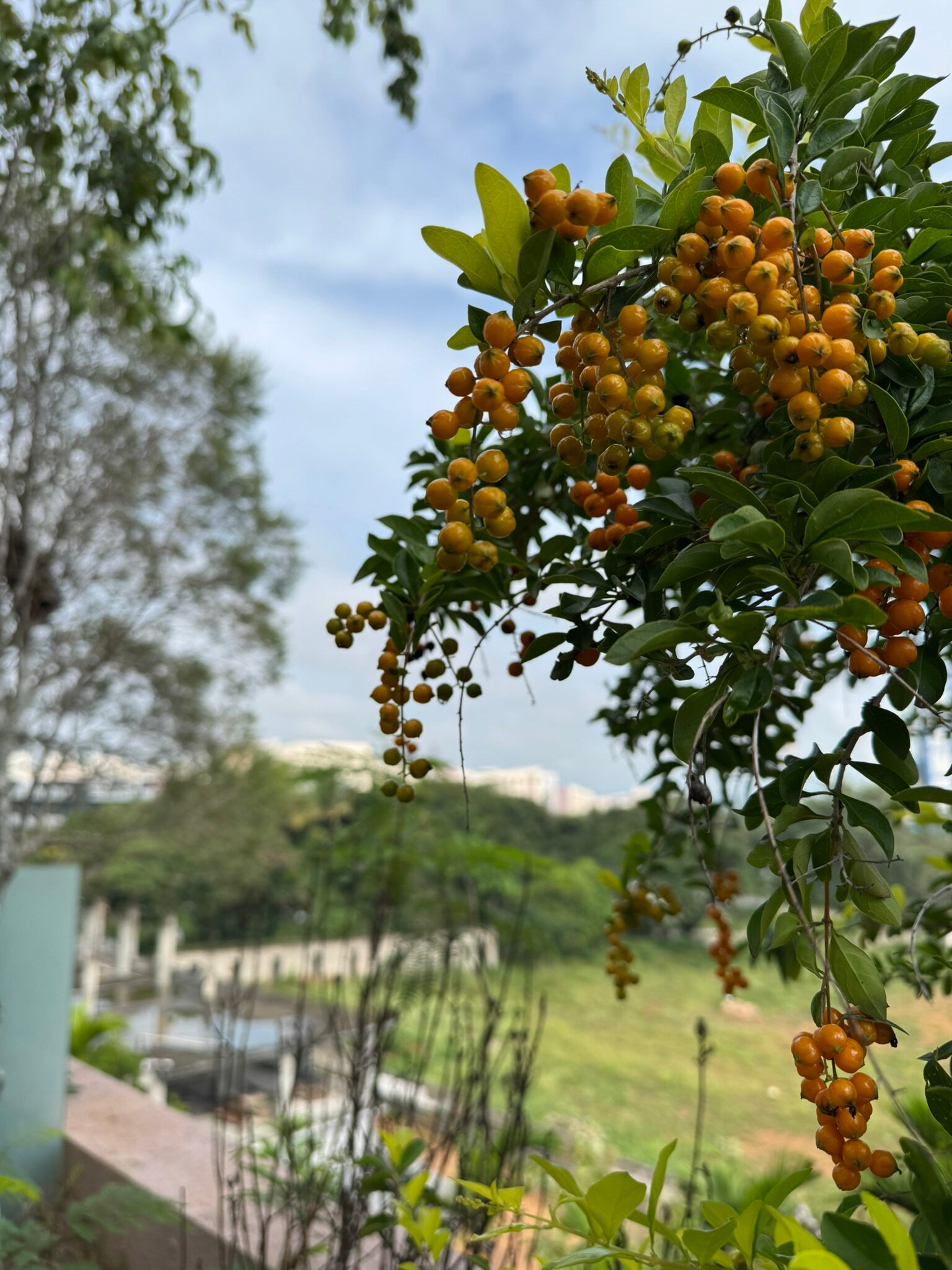 Mysore County Retreat-浴室