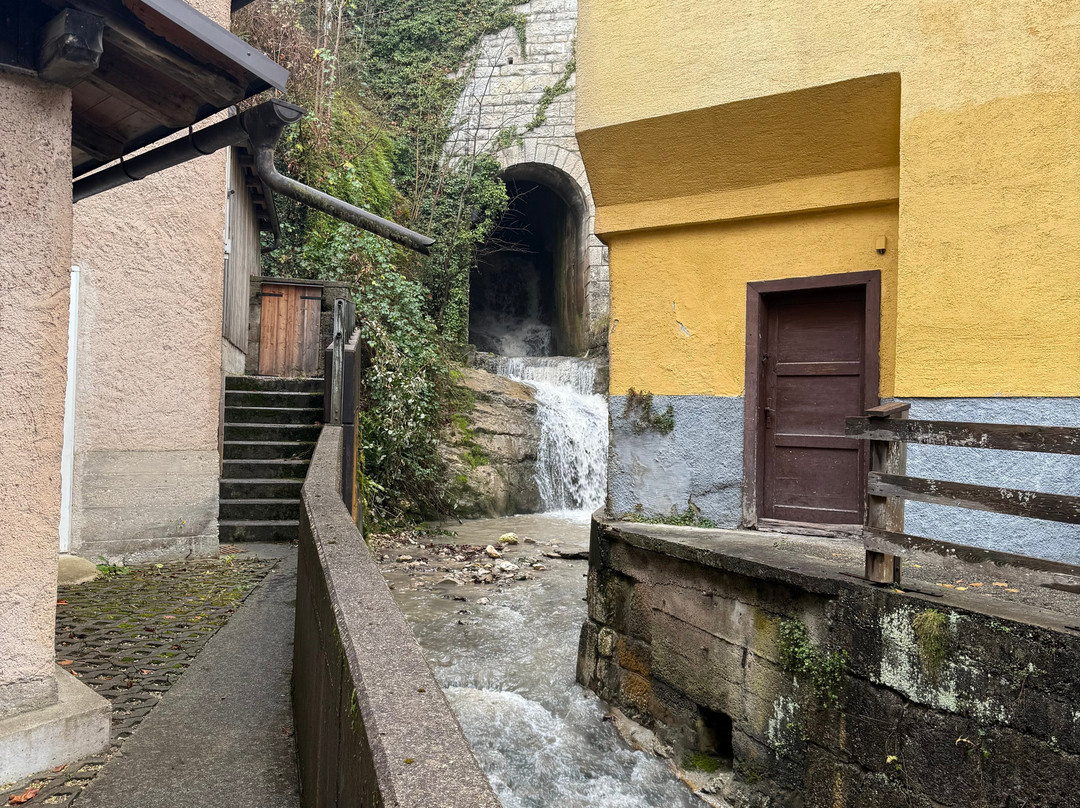 Salzburg Private Tours景点图片