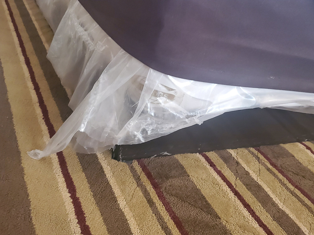 Comfort Inn Metro Airport主图