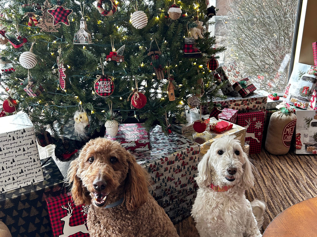 Cobblestone Inn & Suites - Newton主图