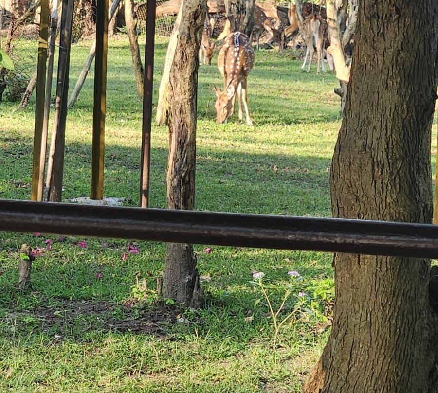 Bamboo Banks Farm Guest House主图