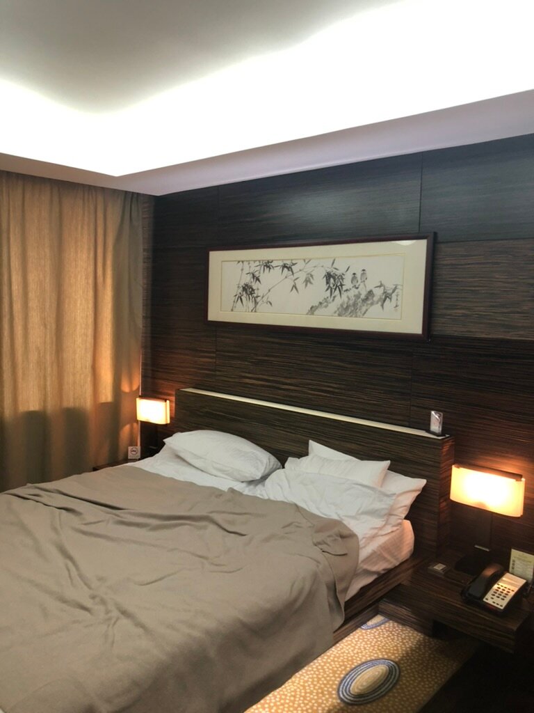 塞廷国际酒店-客卧