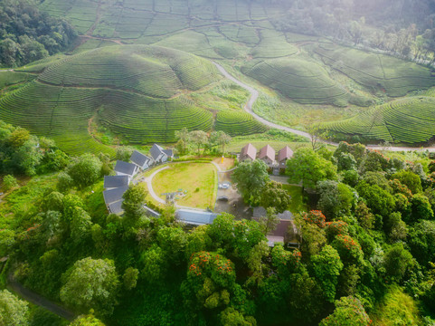 Zero Degree Jungle Resort