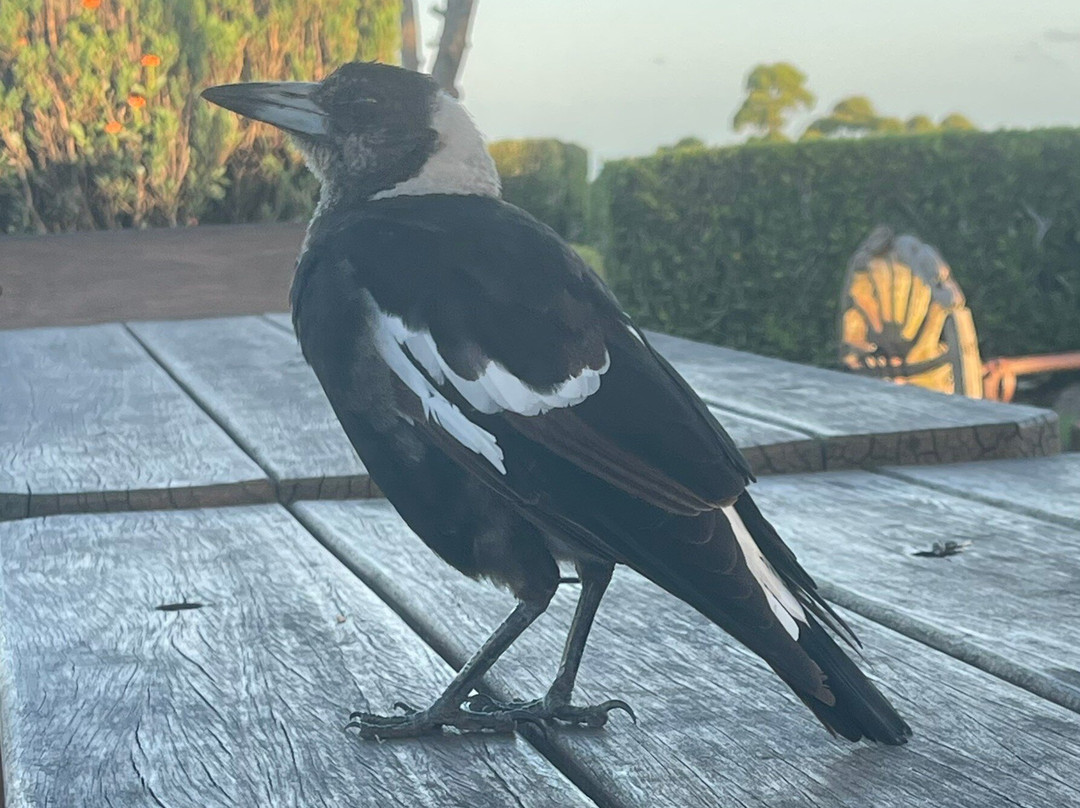 鹰高地避暑山庄度假酒店主图