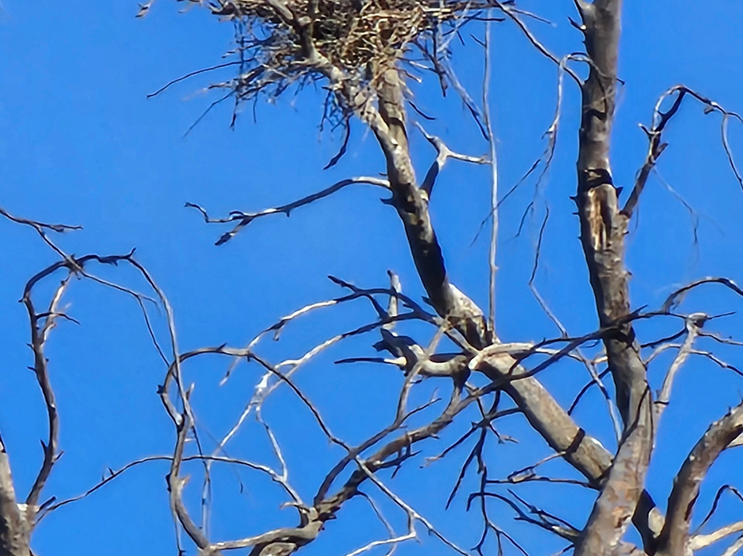 Tres Rios Wetlands-凤凰城必去景点