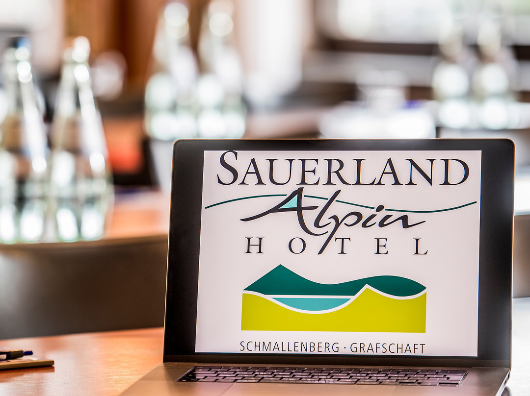 Sauerland Alpin Hotel主图