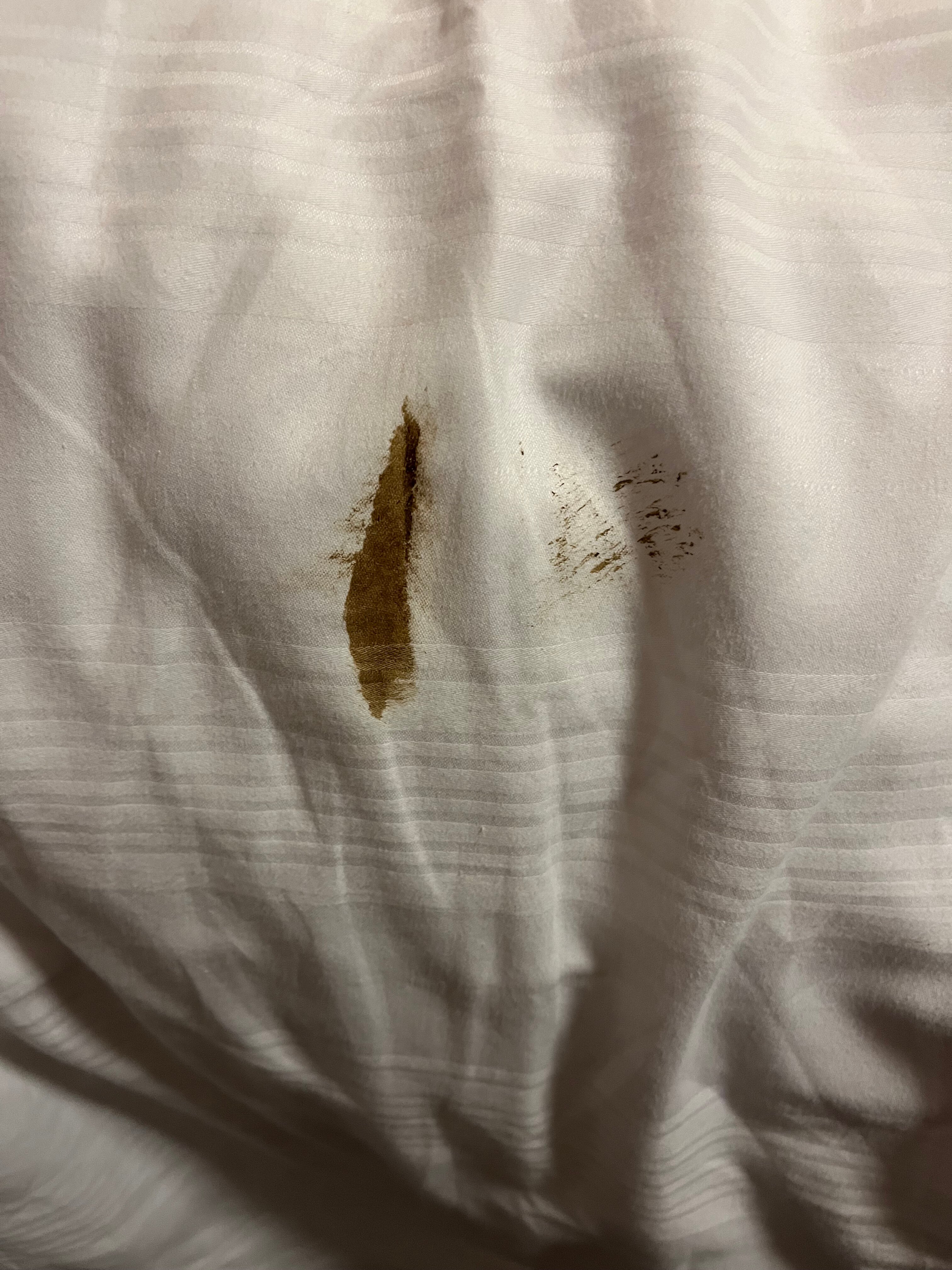 Premier Inn Glasgow East Kilbride Central Hotel-官方