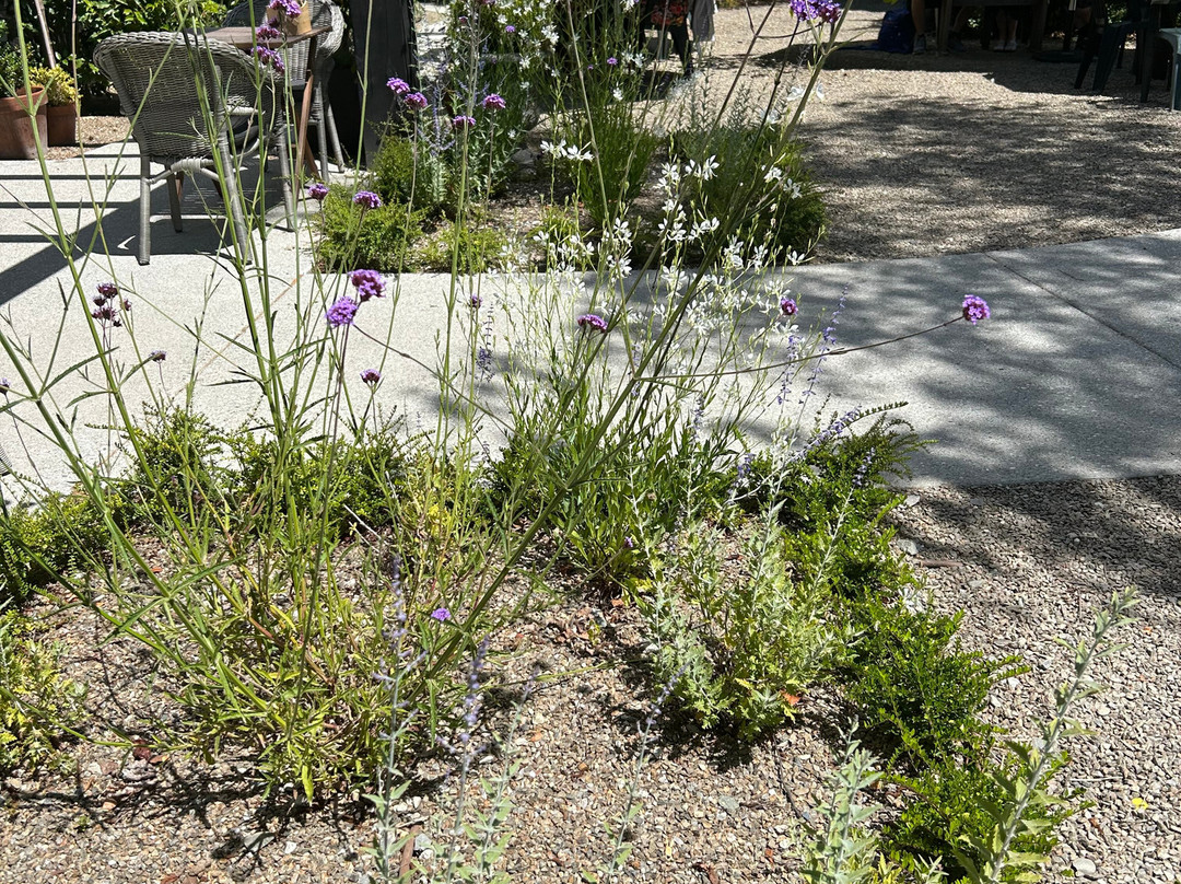 The Orchard Garden