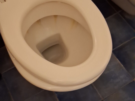 Country House - La Padronale Del Rivo主图