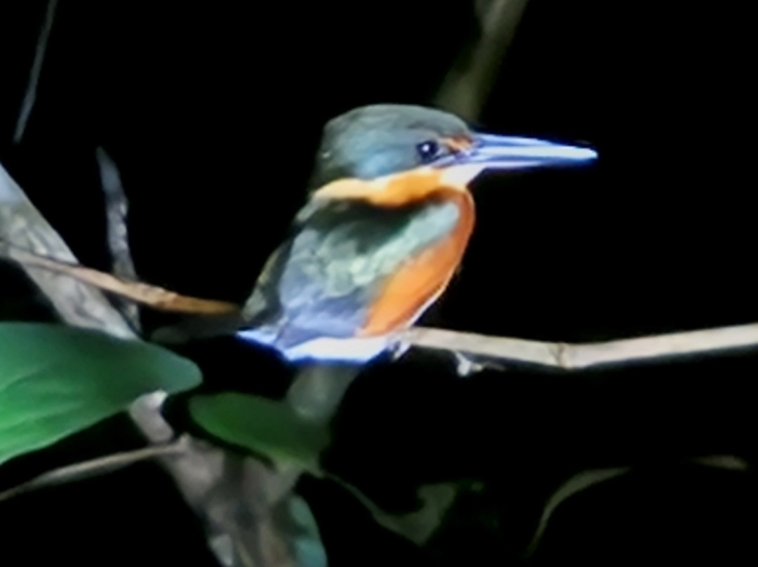 Suforyou-帕拉马里博必去景点