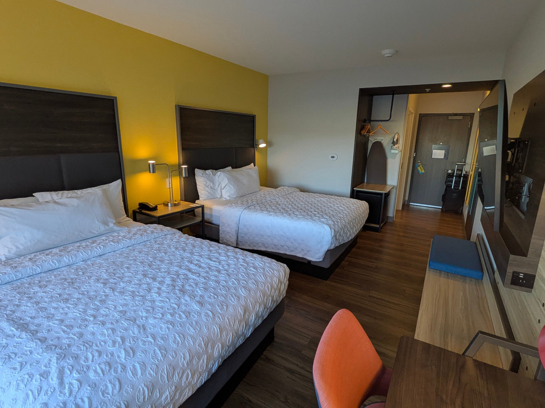 希尔顿真实酒店 安肯尼