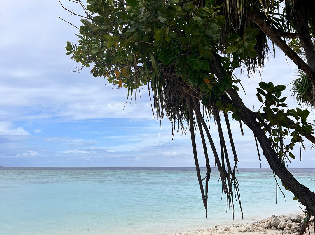 Beach Star Maldives主图