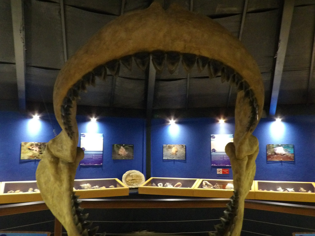 Le Musée de la Mer-Trois-Ilets必去景点