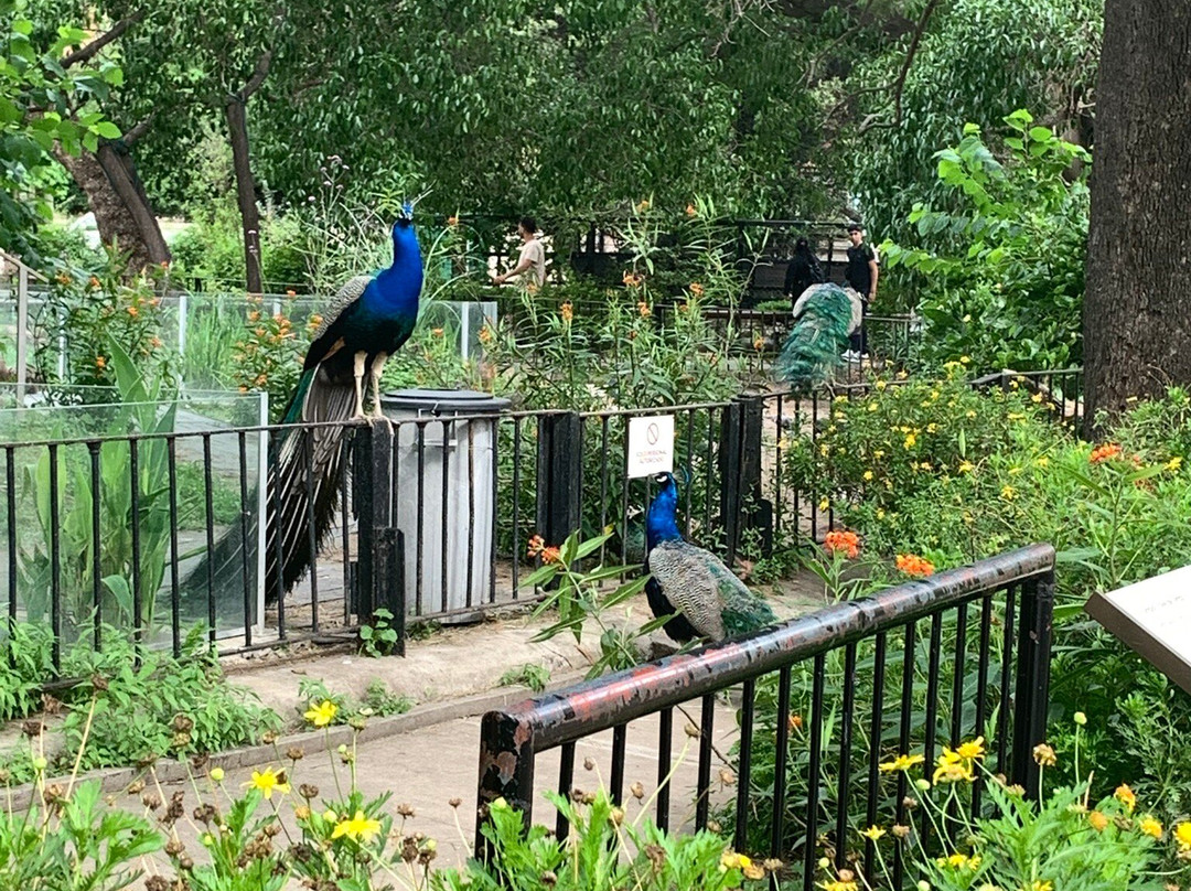 Eco Parque-布宜诺斯艾利斯必去景点