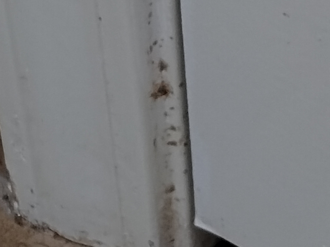 TownePlace Suites by Marriott Dallas McKinney主图