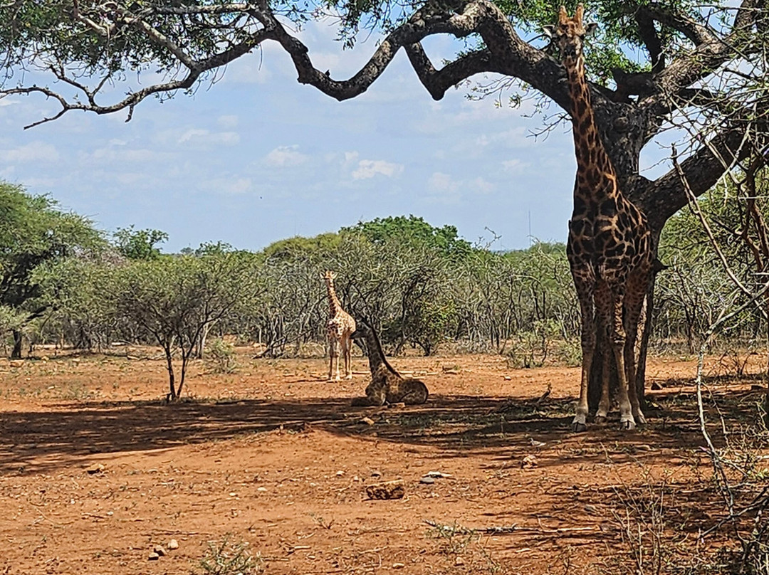Marloth Park Adventures-玛洛斯帕克必去景点