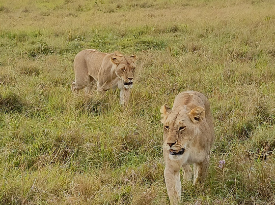 Aventura En Africa-纳罗克必去景点