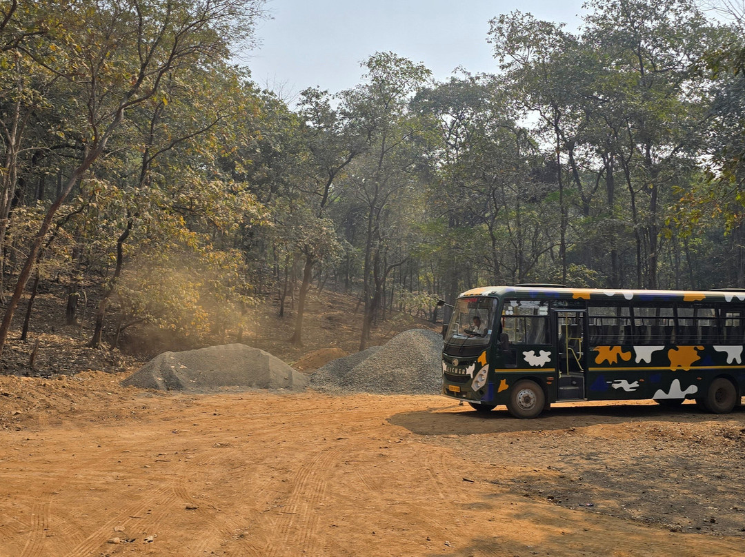 Deer Park-锡尔瓦萨必去景点