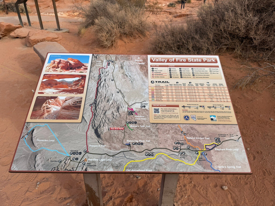 Mouse's Tank-欧弗顿必去景点