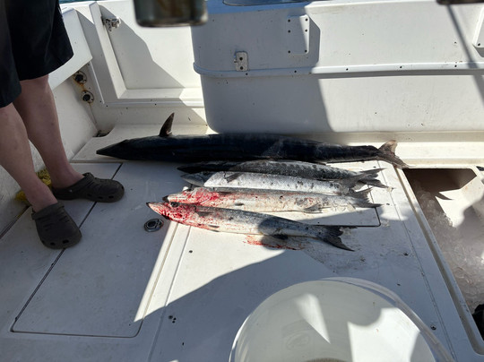 Captain William-弗里波特必去景点