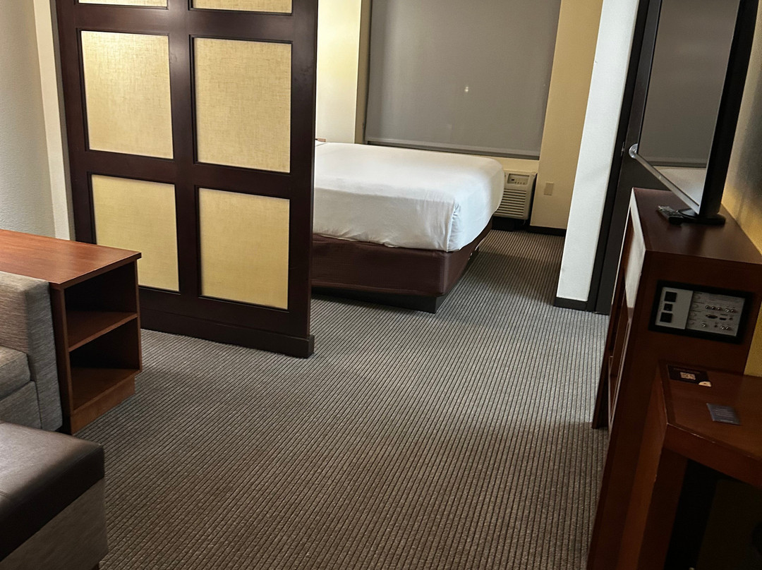 圣地亚哥卡尔斯巴德凯悦广场酒店主图