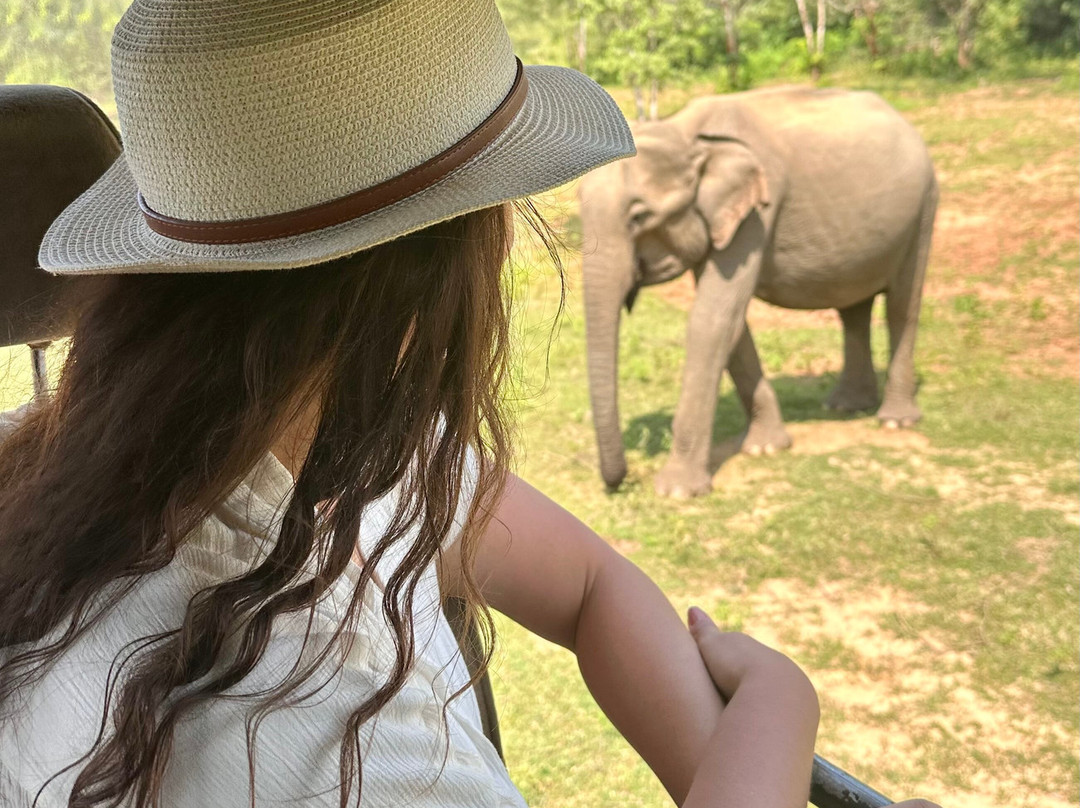 Majestic Safari Yala-蒂瑟默哈拉默必去景点