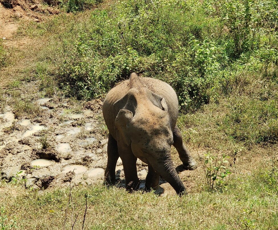 Oneki Tours-蒂瑟默哈拉默必去景点