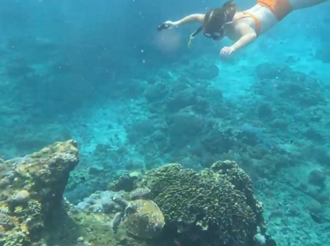 Blue Lagoon Snorkeling Ceningan-努沙切宁安岛必去景点