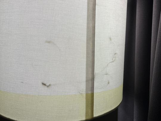 Delta Hotels Baltimore North主图