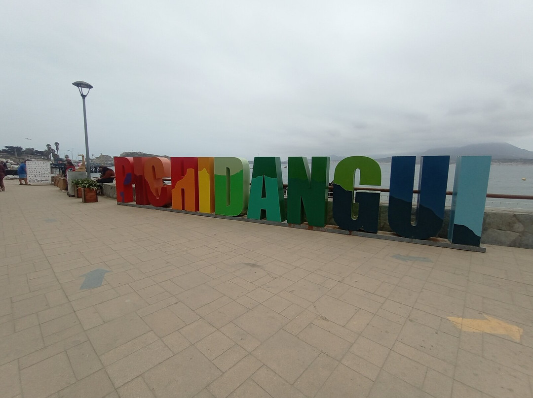 Playa de pichidangui-Pichidangui必去景点