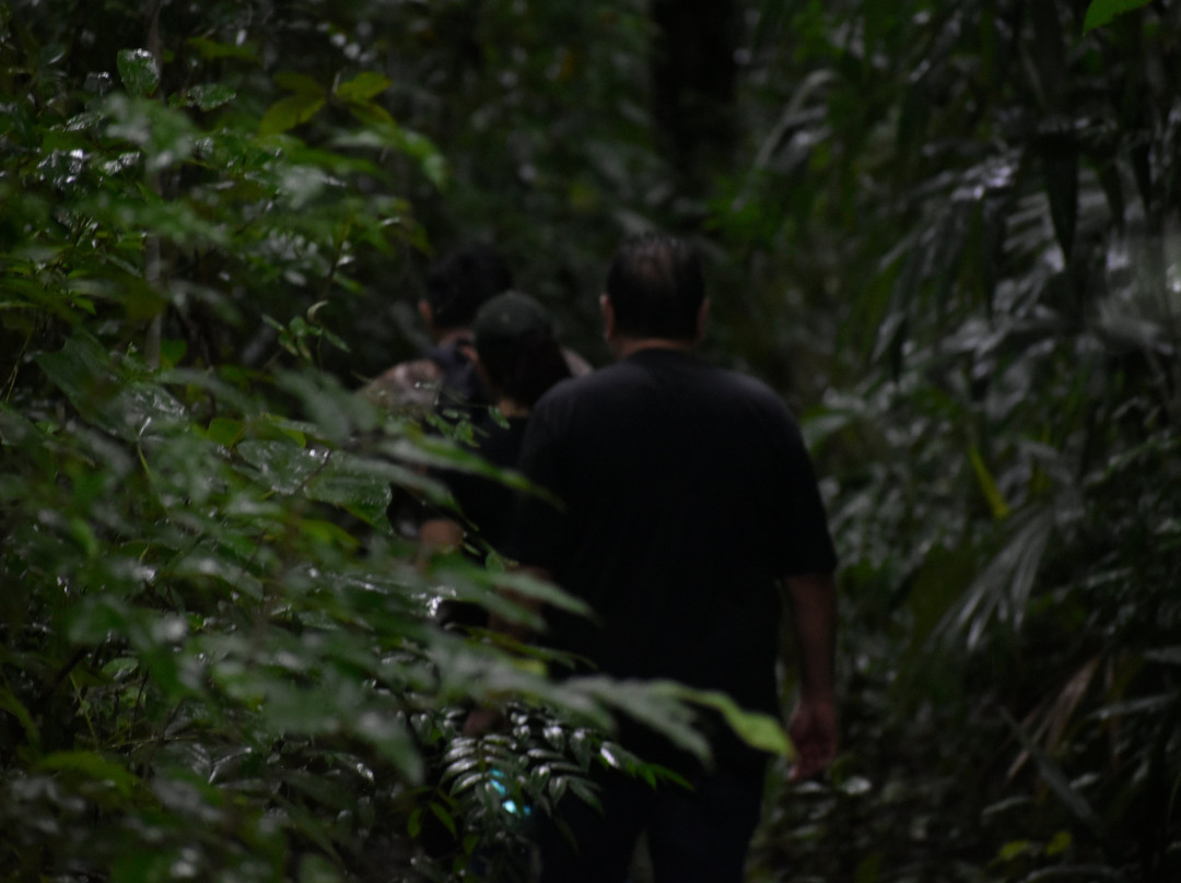 Zona Arqueologica Rio Bec-卡拉克穆尔必去景点