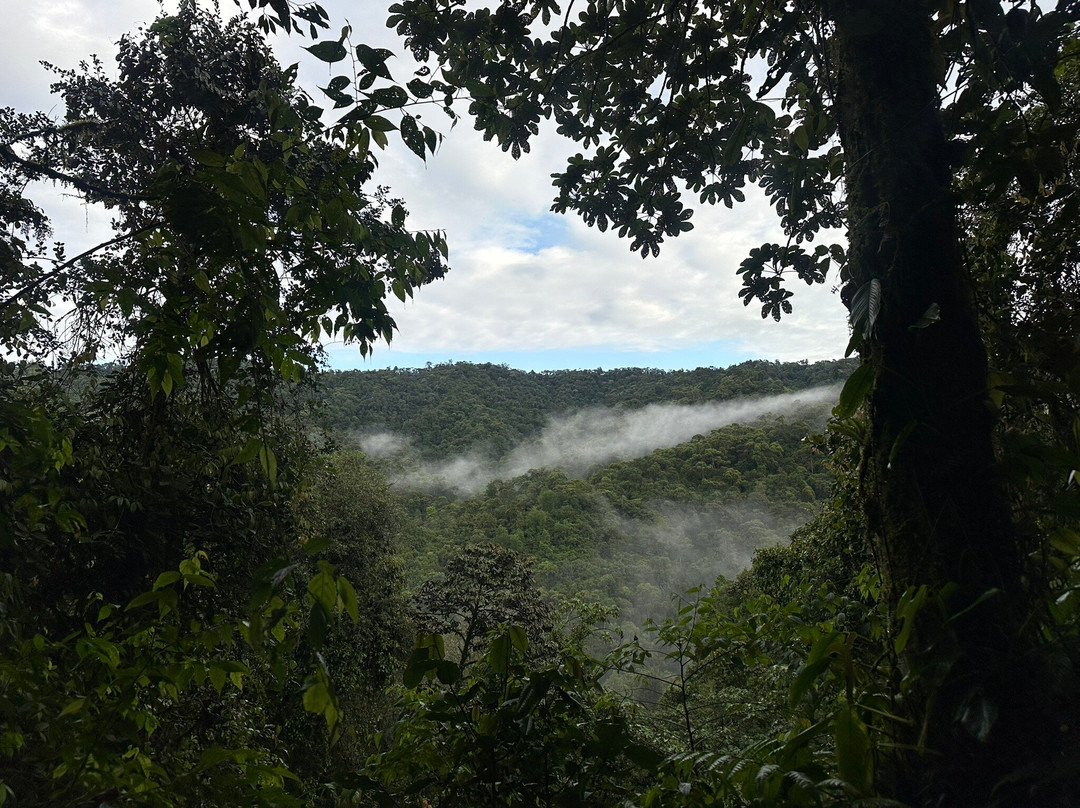 Maquipucuna Reserve-基多必去景点