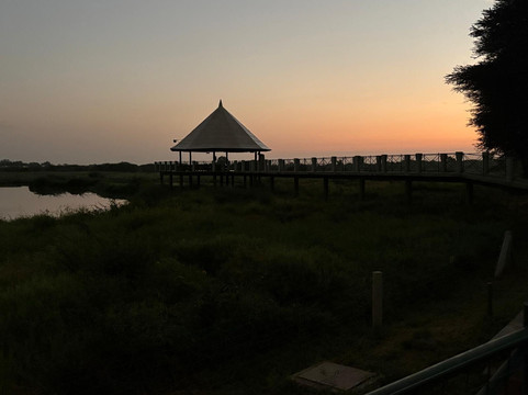 Magical Lions Safaris-迪亚尼必去景点