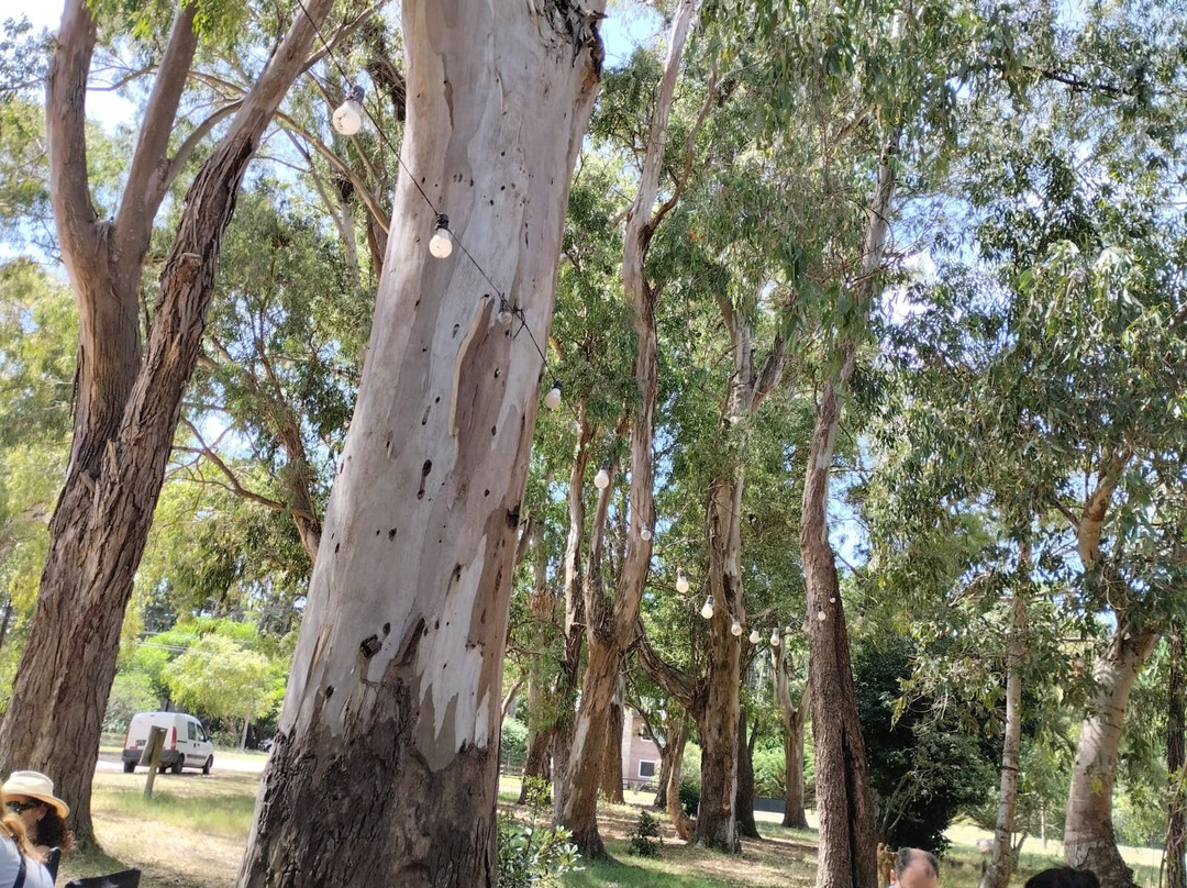 Hotel Bella Costa主图