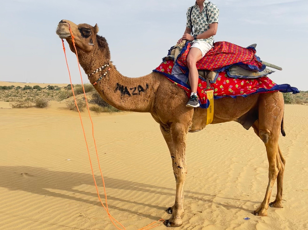Incredible Camel Safari-杰伊瑟尔梅尔必去景点