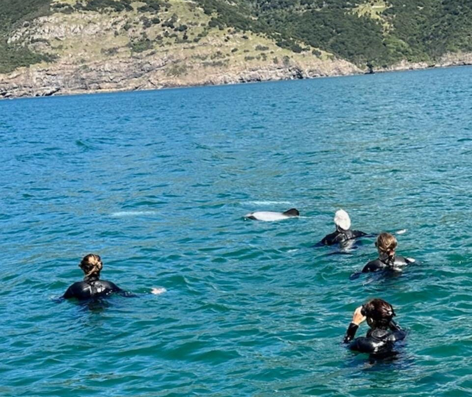 生态海洋水上行景点图片
