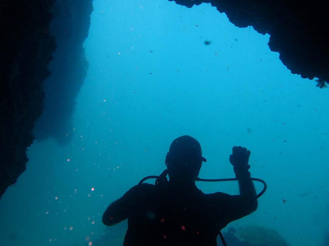 Reef Oasis Dive Center | Musandam-Dibba Al Bay Ah必去景点
