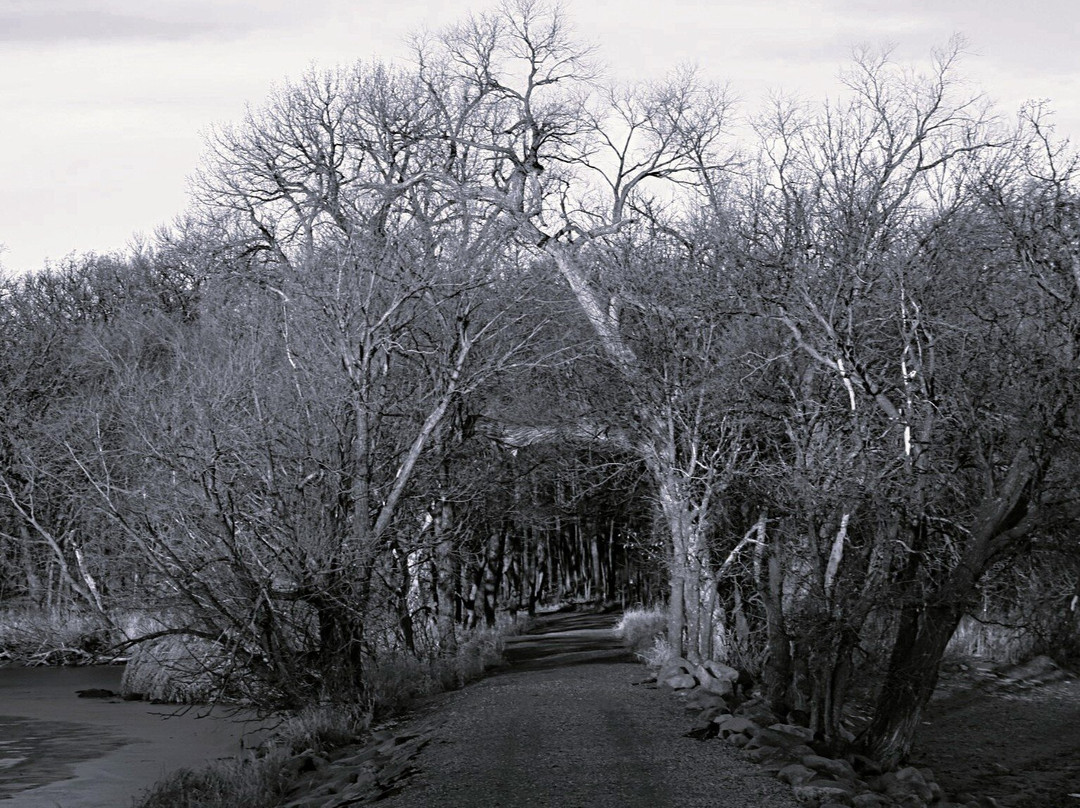 Lake Shetek State Park-Currie必去景点