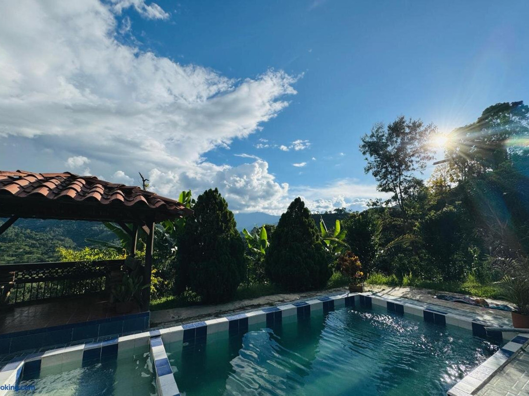 Natural Mystic主图