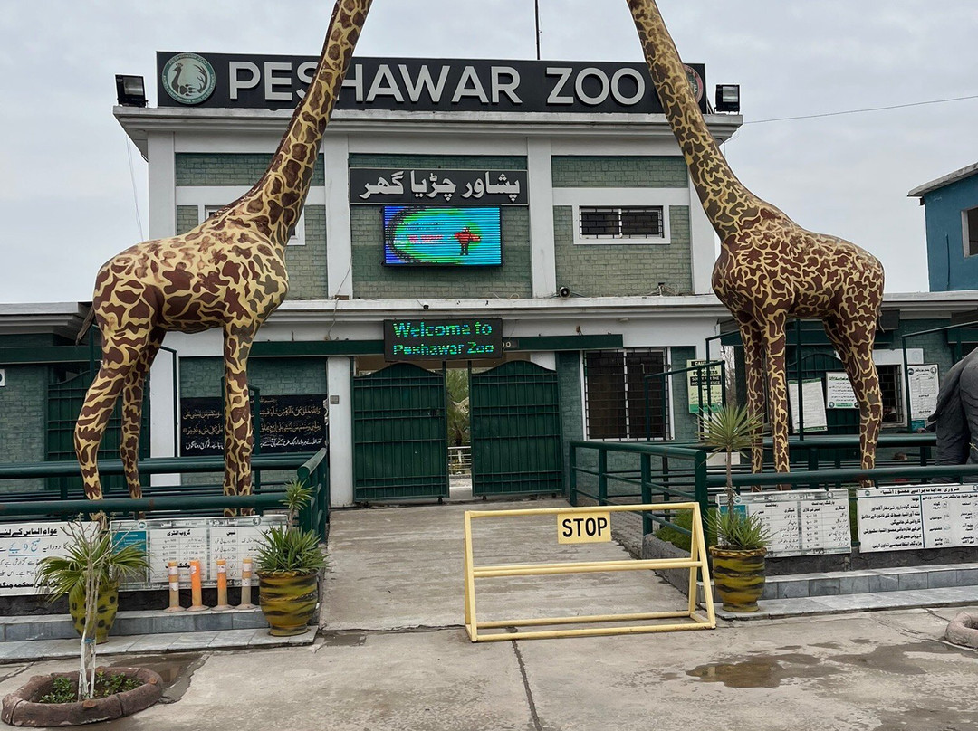 Peshawar Zoo-白沙瓦必去景点