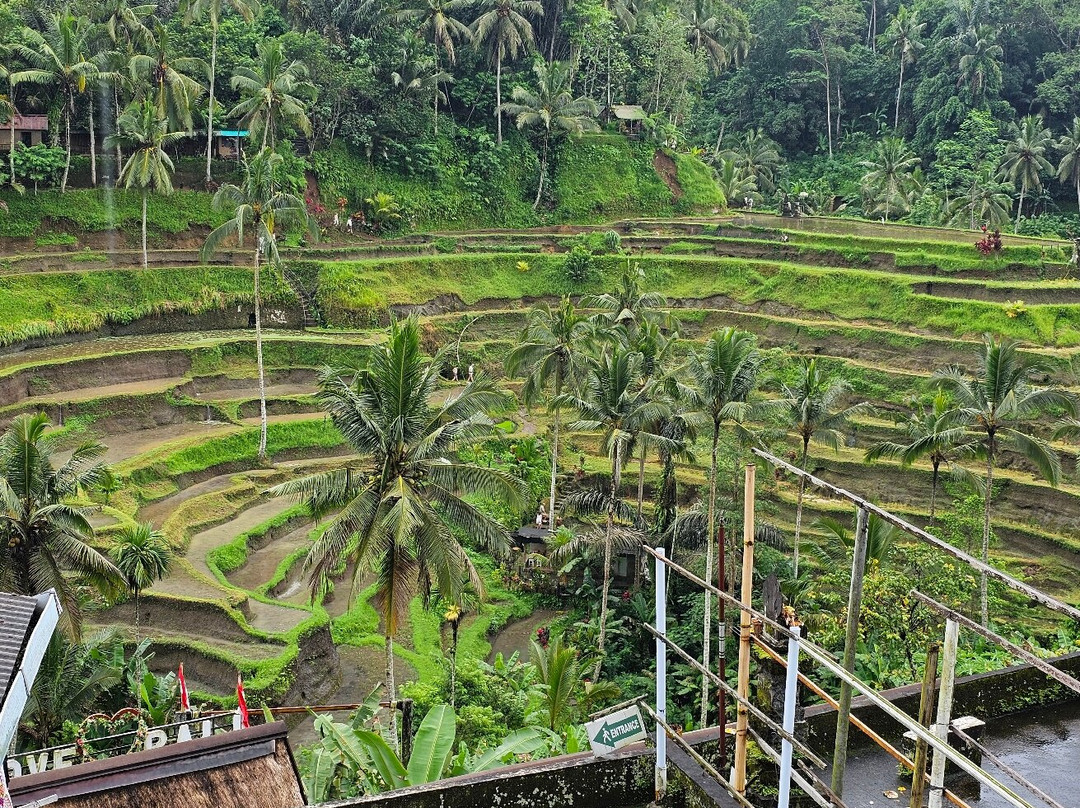 巴厘塔曼海滩度假村主图